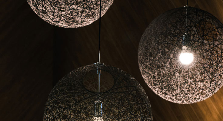 photo of lighbulbs